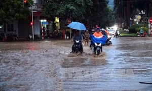 Hà Nội mưa dông rải rác, trời mát