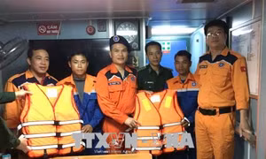 Kịp thời cứu hộ hai thuyền viên gặp nạn trên biển
