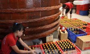 Tạo thêm liên kết giữa doanh nghiệp Việt với các nhà bán lẻ nước ngoài 