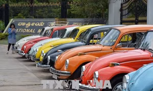 Volkswagen sẽ thu hồi 124.000 xe ô tô do phát hiện chất gây ung thư