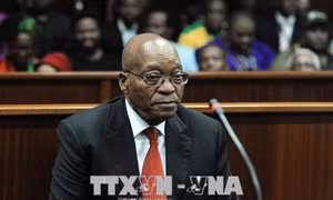 Nam Phi kiên quyết điều tra nghi án cựu Tổng thống Jacob Zuma tham nhũng