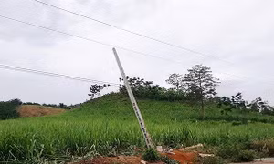 Thuê đơn vị thi công không có chuyên môn, gây tai nạn lao động thương tâm