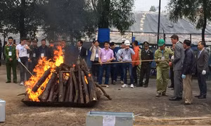 Doanh nghiệp cam kết không buôn bán, sử dụng trái phép động thực vật hoang dã