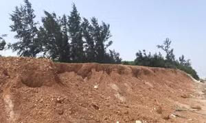 Quảng Trị còn hơn 50km đê cần sớm được nâng cấp 