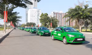 Mai Linh: 13 năm đồng hành cùng chương trình Đi bộ Lawrence S.Ting 