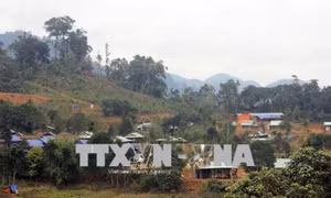 Xuân về trên làng mới Khe Chữ