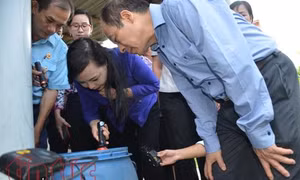 TP Hồ Chí Minh