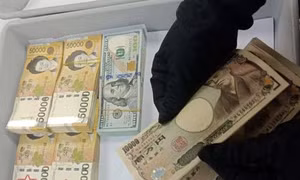 Hải quan Hà Nội xử lý vụ khách nước ngoài mang ngoại tệ vượt tiêu chuẩn 12.000 USD