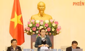 Đại biểu Quốc hội: Không thể miễn phí thông tin bản đồ phục vụ an ninh quốc phòng cho mọi đối tượng