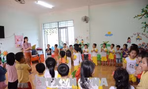 Đắk Nông chi trả lương cho 100 giáo viên hợp đồng bị nợ lương nhiều tháng 