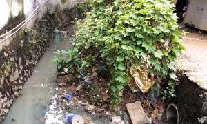Để rác làm 'nghẹt' hệ thống thoát nước, 4 lãnh đạo phường bị phê bình 
