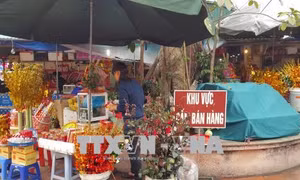 Chấn chỉnh những biểu hiện lệch chuẩn văn hoá tại những nơi thờ tự 
