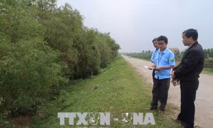 Tập trung xử lý cấp bách sự cố, chủ động hộ đê, chống lũ năm 2018 
