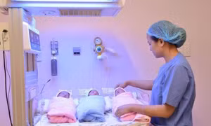 TP Hồ Chí Minh