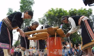 Trị bệnh tâm thần bằng phương pháp hòa tấu nhạc cụ Tây Nguyên 