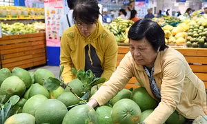 Phát động Chiến dịch Tiêu dùng sản phẩm xanh 2018