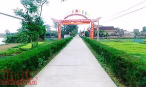 Chùm ảnh vùng quê trù phú, an lành ở Hà Tĩnh