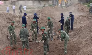 TP Hồ Chí Minh