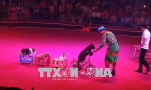 Khai mạc Gala Xiếc quốc tế lần thứ nhất