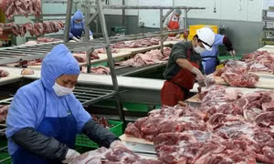 Thịt lợn nhập khẩu tăng gấp đôi