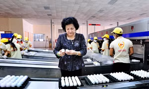 VinaCapital Vietnam Opportunity Fund đầu tư 32,5 triệu USD vào Công ty Ba Huân