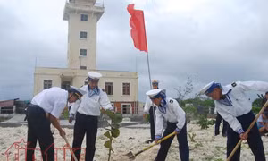 Bộ đội Trường Sa ra quân trồng cây đầu xuân