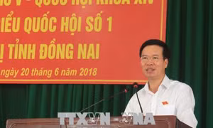Cử tri quan tâm đến dự án Luật Đơn vị hành chính - kinh tế đặc biệt 