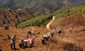  'Chông chênh' công tác giảm nghèo bền vững