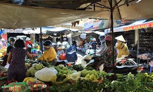 TP Hồ Chí Minh