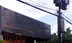 TP Hồ Chí Minh