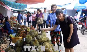 Bến Tre tìm giải pháp khai thác, phát triển nhãn hiệu cho cây trái, hoa kiểng