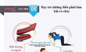 TP Hồ Chí Minh
