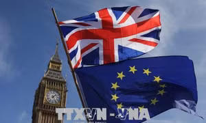 Biểu tình yêu cầu tổ chức trưng cầu về thỏa thuận cuối của Brexit