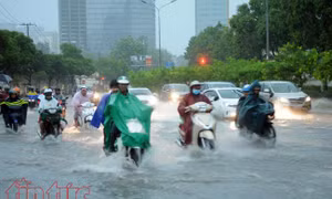 TP Hồ Chí Minh: Tăng cường chống ngập đường Nguyễn Hữu Cảnh trong mùa mưa