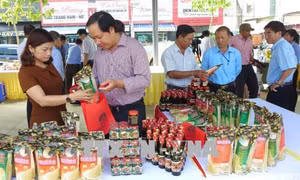 Đằng sau con số xuất khẩu kỷ lục - Bài cuối: Xúc tiến xuất khẩu đã ít còn dàn trải