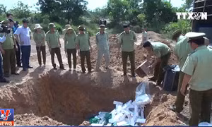 Tiêu hủy hơn 45.000 bao thuốc lá kém chất lượng, không rõ nguồn gốc