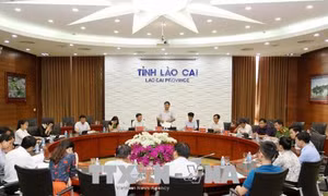 'Thủ phạm' gây hư hỏng hoa màu ở Bản Lầu là nhà máy luyện kim màu Lào Cai