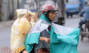 TP Hồ Chí Minh