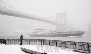 Mỹ: Thành phố New York chuẩn bị ứng phó với bão tuyết