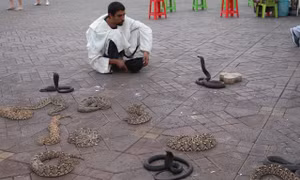 Marrakech - một điểm đến hấp dẫn, một trải nghiệm thú vị