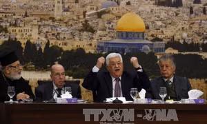 Palestine tiếp tục lên án việc Mỹ công nhận Jerusalem là thủ đô của Israel
