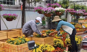TP Hồ Chí Minh