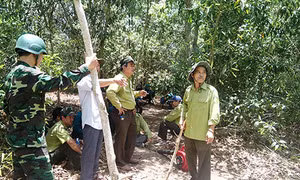Bình Thuận: Nguy cơ cháy rừng cấp cực kỳ nguy hiểm 