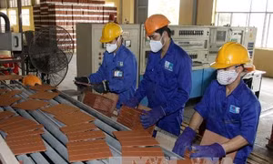 Năm 2018 Viglacera thoái vốn nhà nước xuống còn 36% 