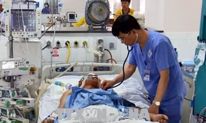 Ăn thịt dê chết, hai người nguy kịch do nhiễm khuẩn liên cầu lợn 