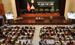 Hội đồng Nhân dân TPHCM: Đại biểu trăn trở về đầu tư cho khoa học công nghệ