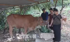 Bãi bỏ chính sách hỗ trợ trực tiếp người dân hộ nghèo ở vùng khó khăn 