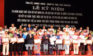 Phát triển sâu rộng phong trào thi đua trong các lĩnh vực của đời sống 