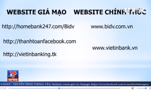 Cảnh báo website giả mạo ngân hàng