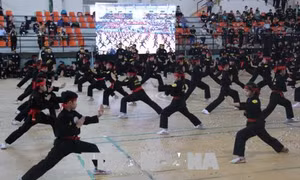 Khai mạc Liên hoan quốc tế Võ cổ truyền Thành phố Hồ Chí Minh mở rộng lần thứ 5 